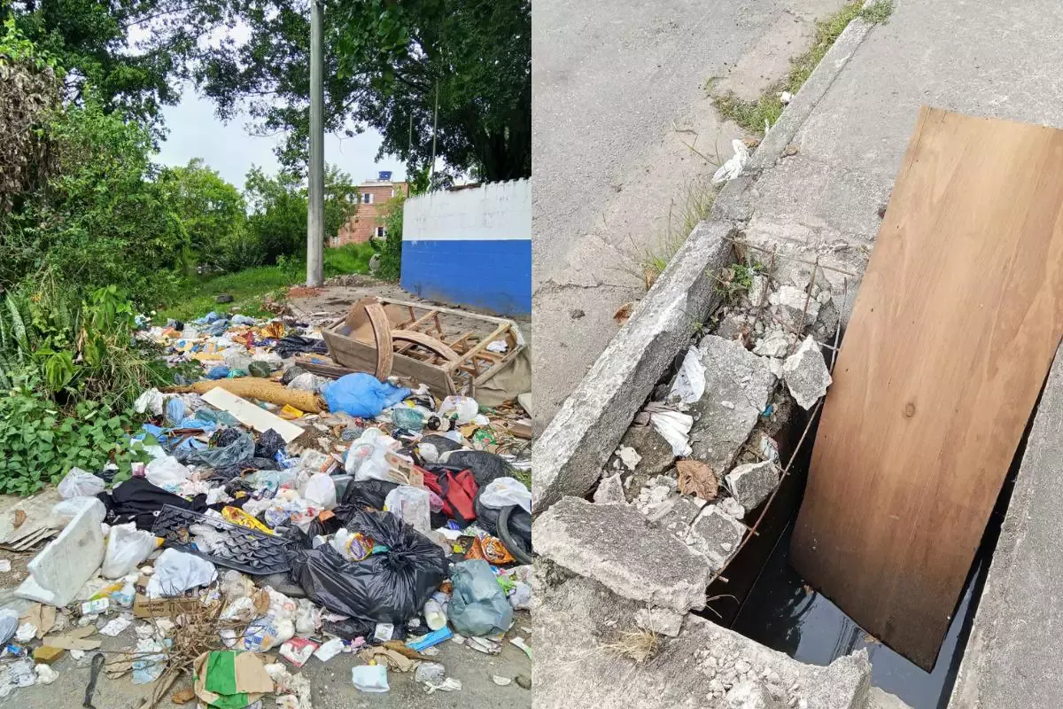 Rua de Guarujá preocupa mãe por ter assaltos em escola, acúmulo de lixo e pessoas em situação de rua se masturbando
